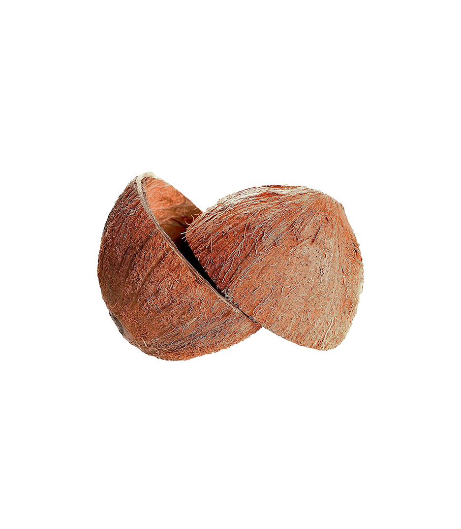 MEI Coconut Shells pair